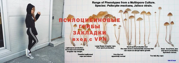 мяу мяу мука Аркадак