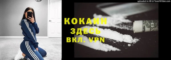 мяу мяу мука Аркадак