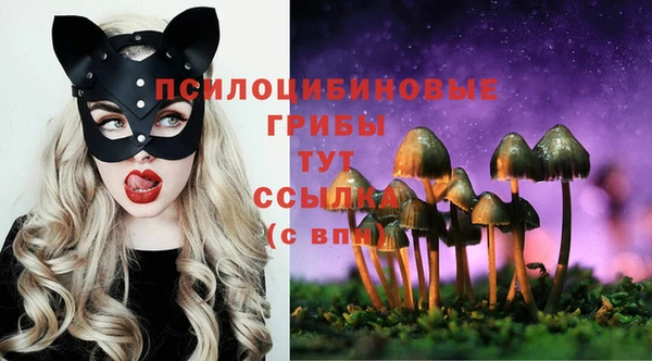 спиды Армянск